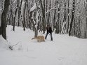 Iarna 2009 126